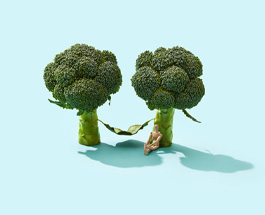 Two broccoli trees and a wooden stick figure sitting against one