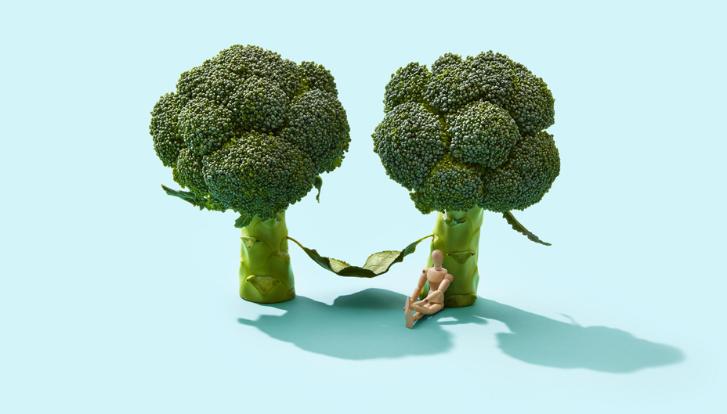 Two broccoli trees and a wooden stick figure sitting against one