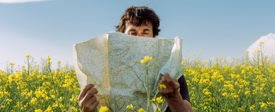 Man reading a map while sitting in a rapeseed flower field.