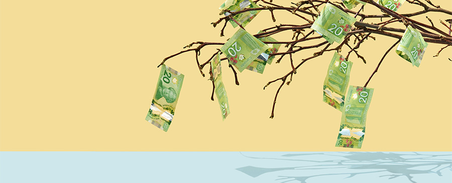 20 dollar Canadian bills hanging from a tree branch.