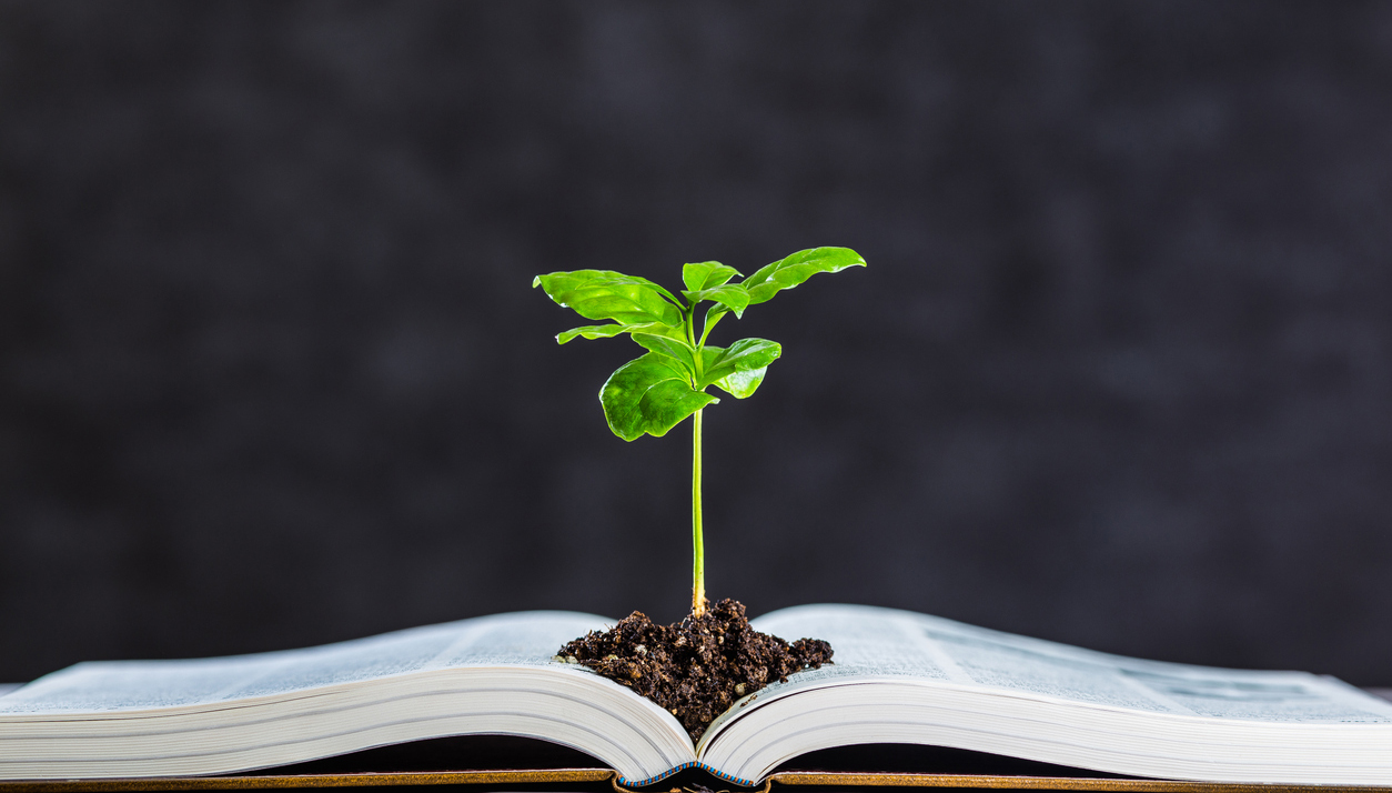 Open book with a plant growing out of it. 
