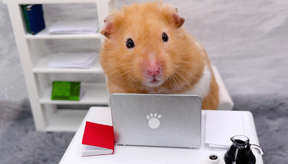 A hamster in a miniature home office.
