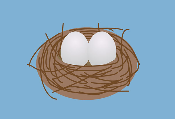 Illustration de deux œufs dans un nid.
