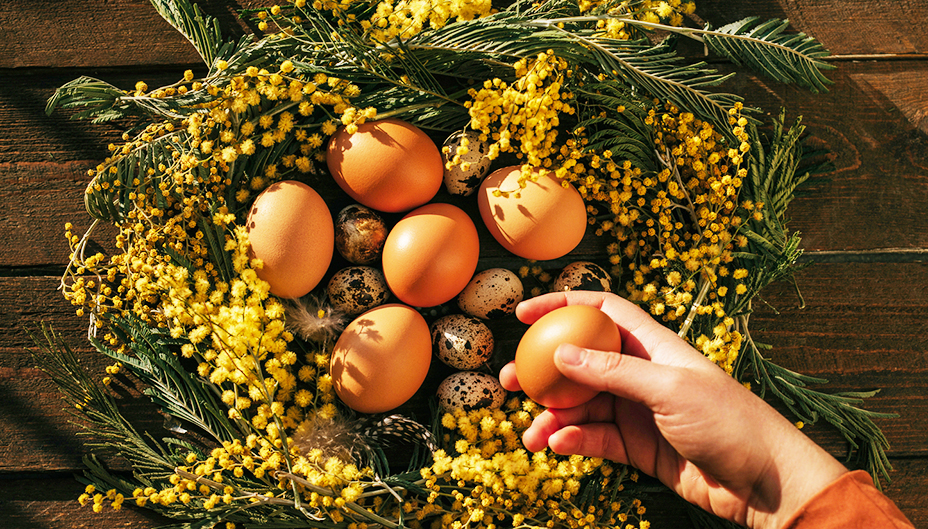 Woman picking eggs out of a wreath made with mimosa flowers and pine boughs.