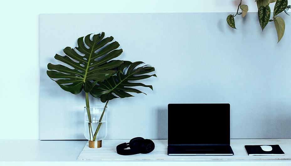 Laptop sitting on desk with headphones and plant beside it.