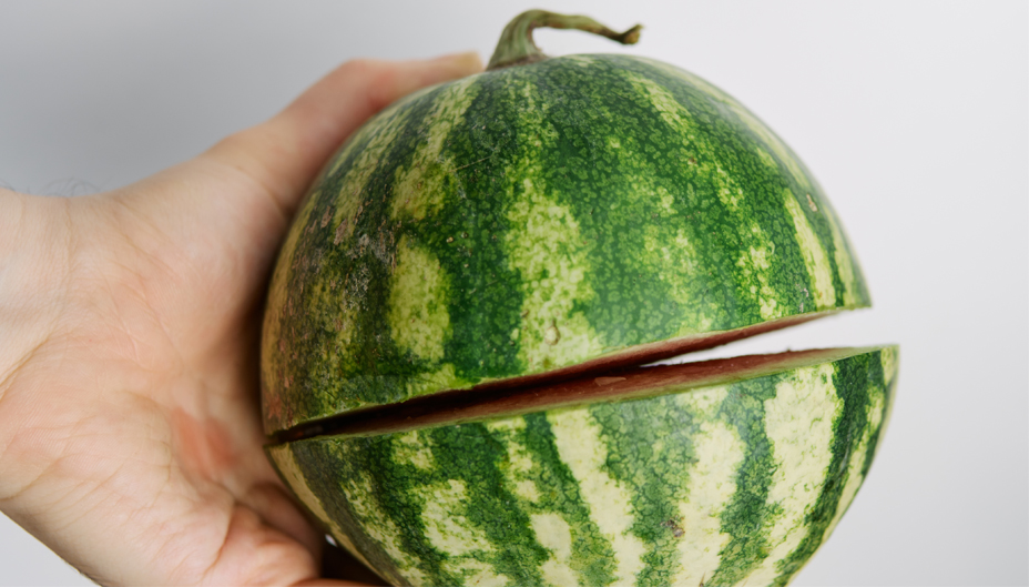 A hand holding two halves of a watermelon together.