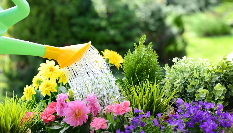 A flower garden being watered.