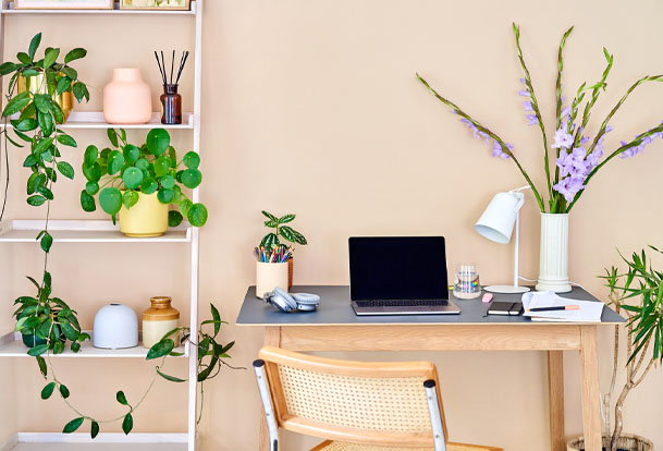 Photo of a home office next to a shelf of plants.