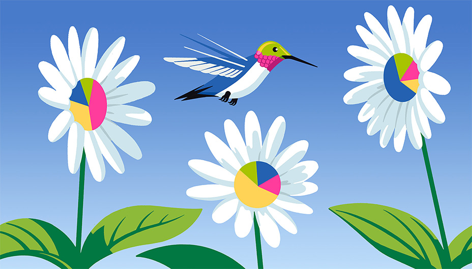 Hummingbird collecting pollen from flowers
