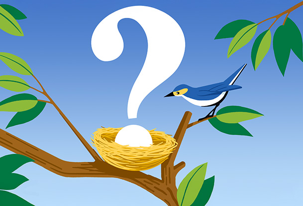 A bird’s nest with a question mark inside it resting on a branch, and a bird next to it