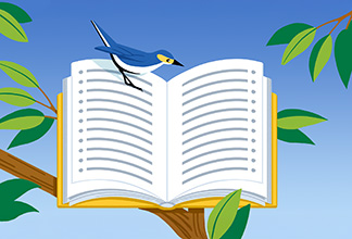 ETF Glossary: Key Terms to Know