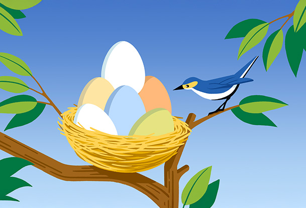 Illustration of a bird on a branch next to a nest with multi-coloured eggs in it