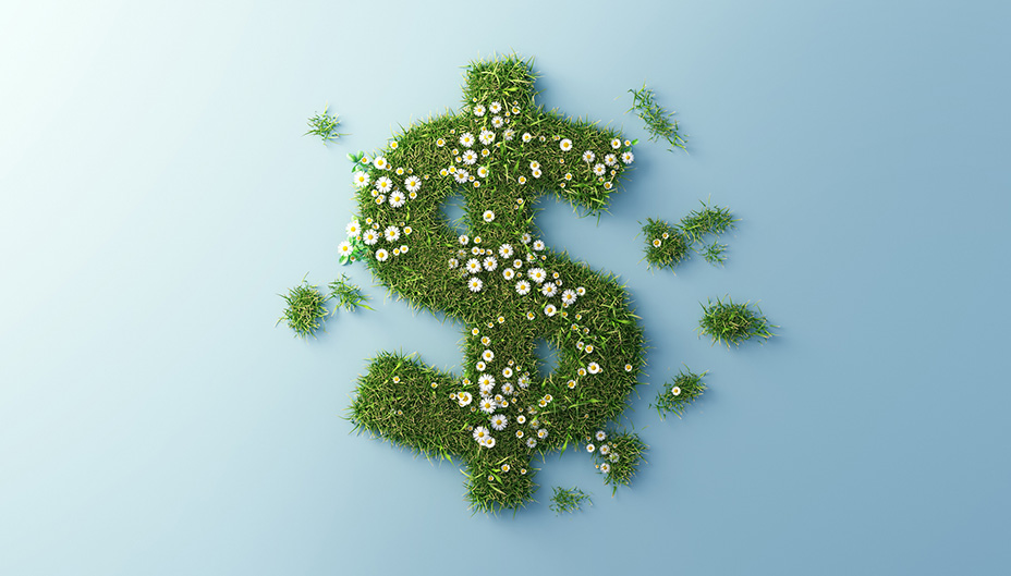 Grass in the shape of a dollar sign that has been freshly trimmed