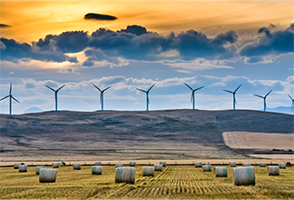 A field of wind turbines is shown at sunset.