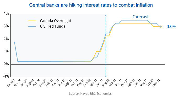 A chart showing how central banks have been hiking interest rates to combat inflation.