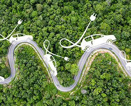 Electric vehicles on a background of trees.
